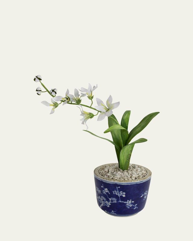 Freesia March Birth Flower in Ceramic Pot